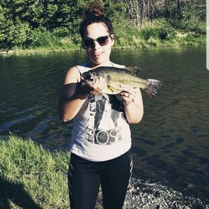 Meet your Posher, Ladawn